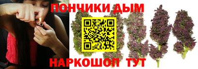 spice Кохма