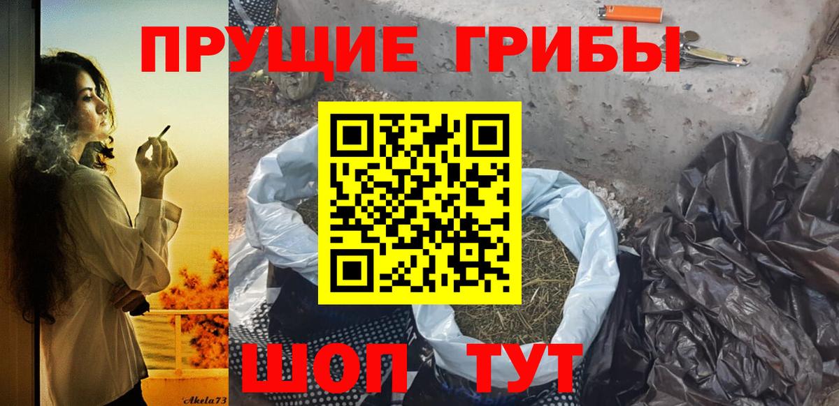 Галлюциногенные грибы MAGIC MUSHROOMS Осинники