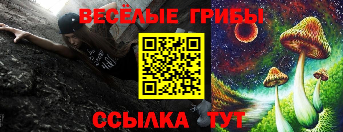 Галлюциногенные грибы MAGIC MUSHROOMS  Вход с VPN  Осинники  Псилоцибиновые грибы Psilocybine cubensis 
