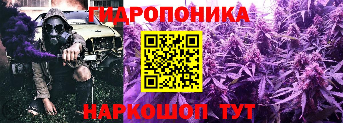 Шишки марихуана индика  Конопля план  Вход с VPN  Осинники 